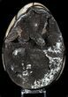 Septarian Dragon Egg Geode - Black Crystals #57436-1